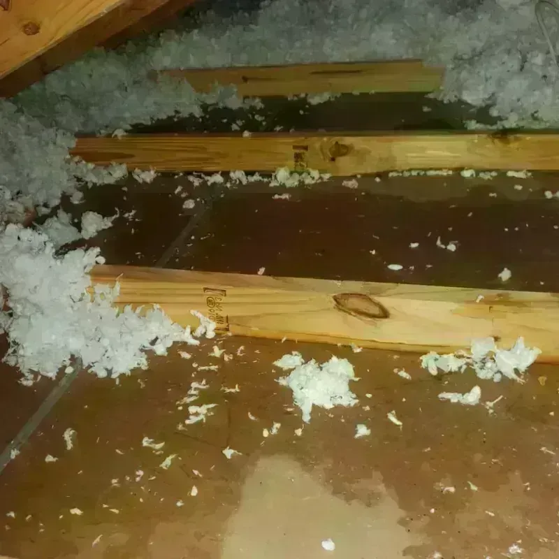 Attic Water Damage in Stockton, CA