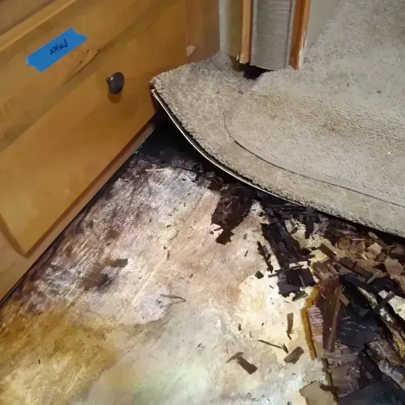 Wood Floor Water Damage in Stockton, CA